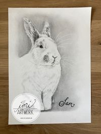 Weißes Kaninchen Bleistift