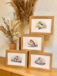 Vogel Postkarten 4er Set - Aquarell
